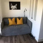 Renovated 1 Bedroom In Paddington